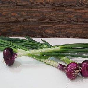 ялта молодой с перьями.jpg