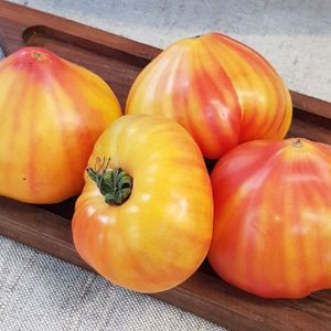 Помидоры пламя.jpg