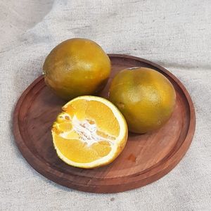 апельсин шоколадный.jpg