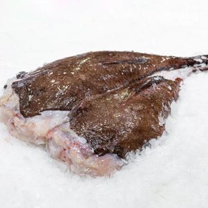 Морской черт.jpg