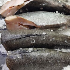 треска черная Камчатка.jpg