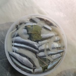 килька каспийская.jpeg