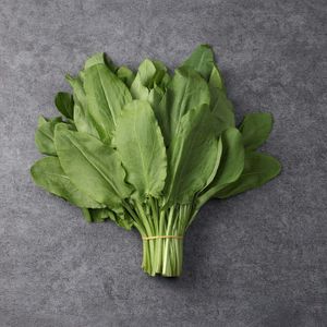 Щавель_ (2).jpg