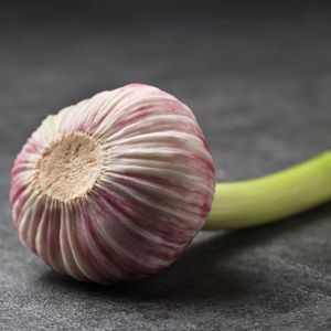 Чеснок молодой_ (5).jpg