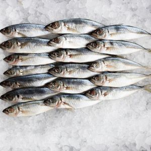 ec56952d4cc588a3845ea173372bfaa6.jpg