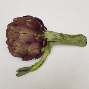 артишок фиолетовый.jpg