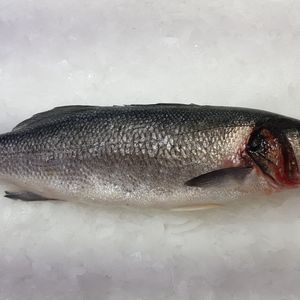 мароканский сибас траловый вылов.jpg