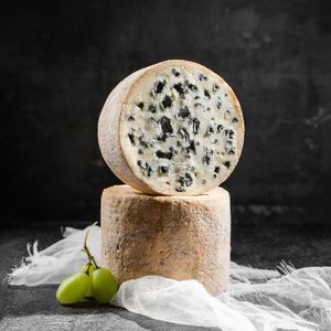 Блю Чиз Сибарит сити.jpg