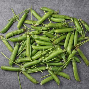 Горох стручковый_ (1).jpg