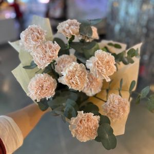 гвоздики 11шт.jpg