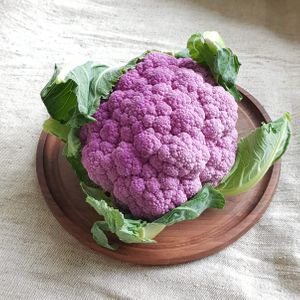 цв. кап. фиол..jpg