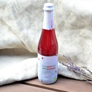 Дикая клюква без сахара.JPG