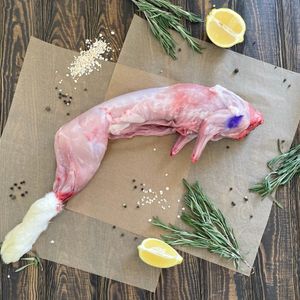 Кролик Воронеж.jpeg