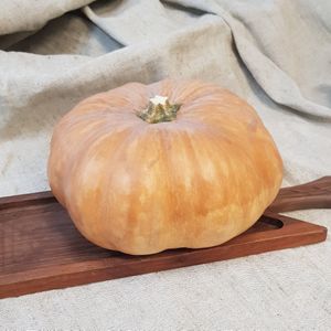 тыква оранжевая.jpg