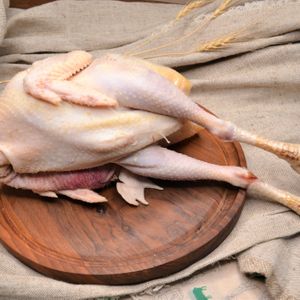 Петух охл..JPG