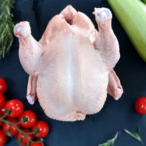 Цыпа 800гр.2.jpg