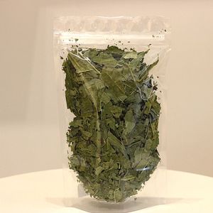Кипрей узколистный (Иван Чай).jpg