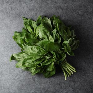 Базилик зеленый (7).jpg