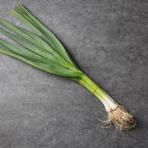 Чеснок молодой (с листьями)_ (6).jpg