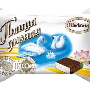 Птица дивная.jpg