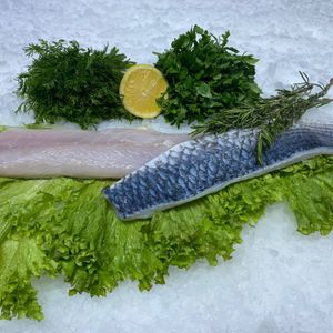 Кефаль филе.jpeg