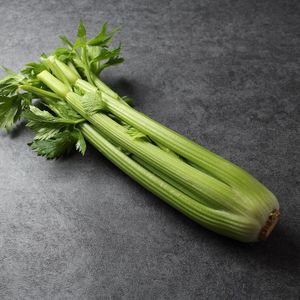 Стебель сельдерея (7).jpg