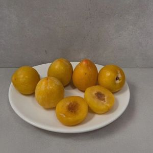 слива утка.jpg