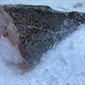 Треска стейк.jpg