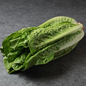 Романо (11).jpg