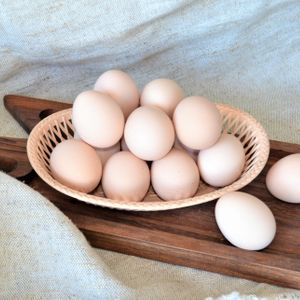 Яйца от молодок.JPG