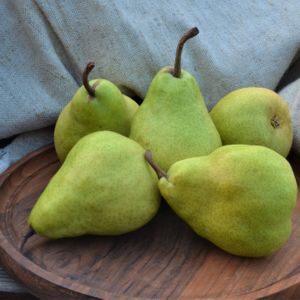 Груша дюшес.JPG