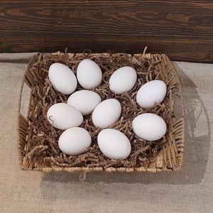 Яйцо белое.jpg