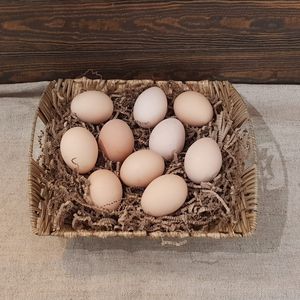 Яйцо бежевое.jpg