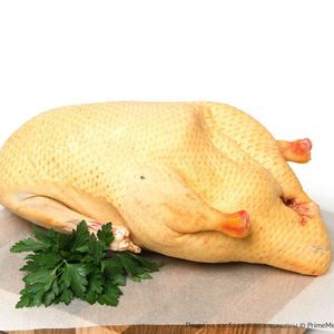 Утка домашняя 3 кг..jpg