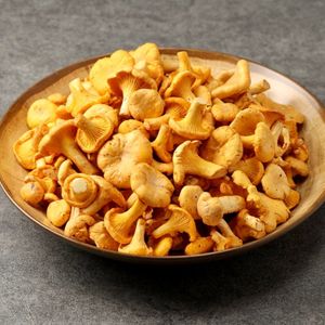 лисички.jpg