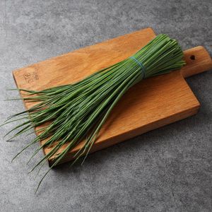 Лук Сибулет_ (9).jpg