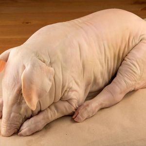 Поросенок молочный (замороженный), 6кг.jpg