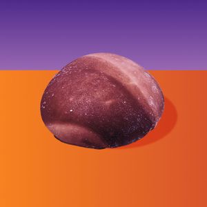 Моти нутела.jpg