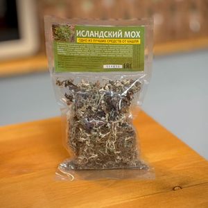 исландский мох.JPG
