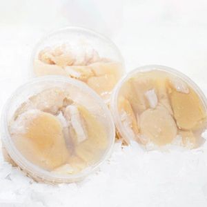 Гребешок курильский.jpg