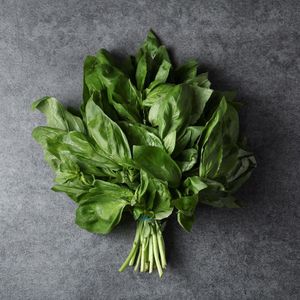 Базилик зеленый (6).jpg