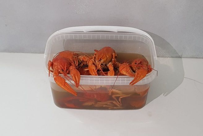 раки вареные.jpg