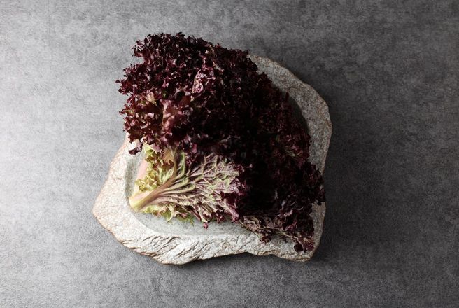 Лолло россо (12).jpg