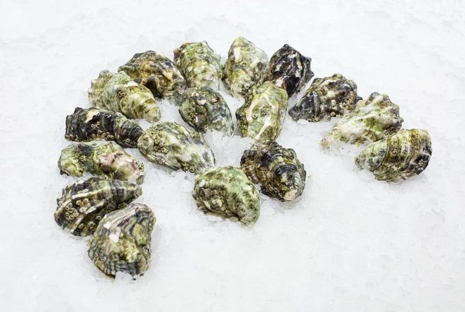 Устрица Tia-Maraa.jpg