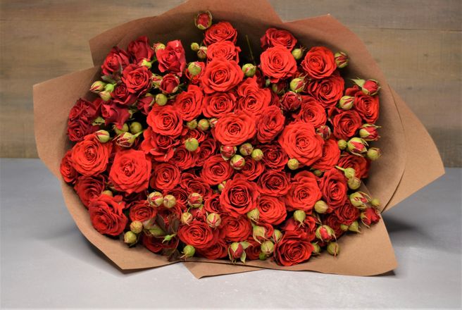 Кустовые бордовые розы.jpg