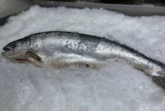 лосось чили с головой.jpg