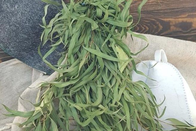 Веник эвкалиптовый абхазский для бани.jpg