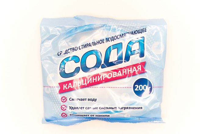 101.jpg