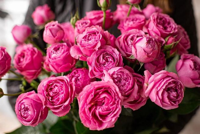 Букет №5 Розы пионовидные, 11 шт.jpg