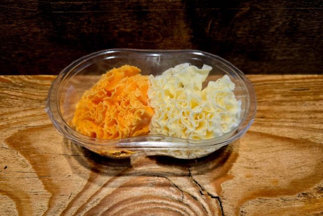 Дуэт Санфьор.jpg